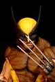 Invictus Wolverine